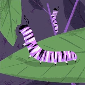 Meet your Posher, Payge